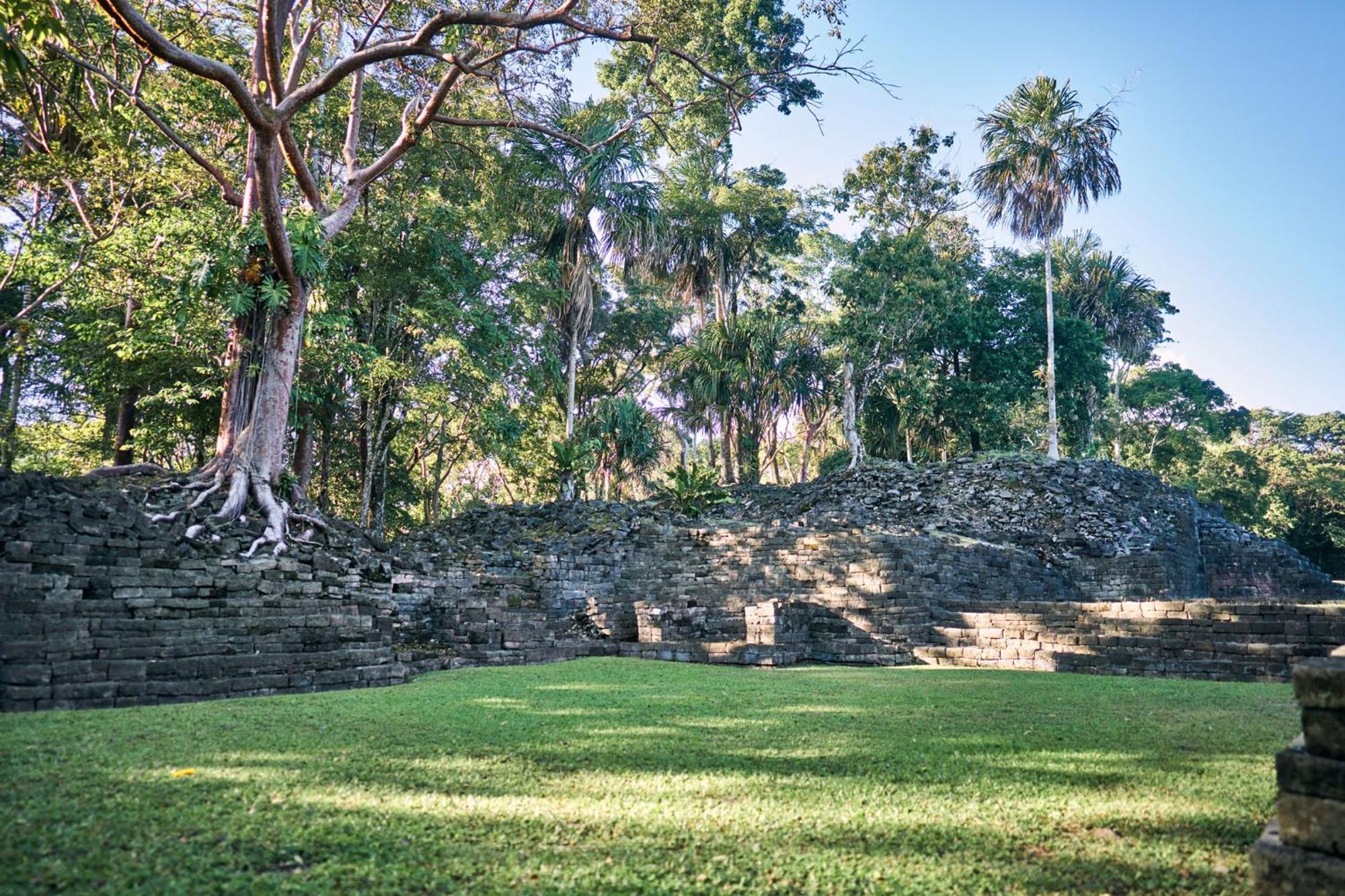Turtle Inn By Francis Ford Coppola Placencia Luaran gambar